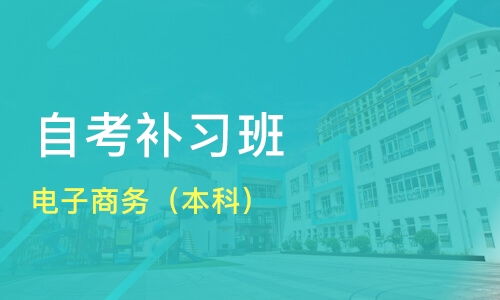 西安电子商务专业本科