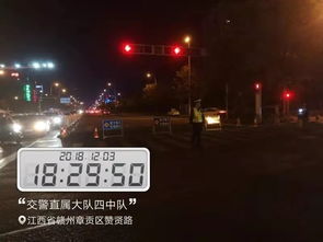 山东一服务区惊现沉睡5年外地车辆