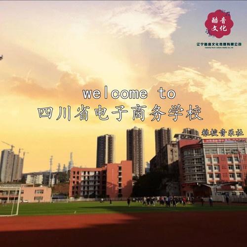 四川高校电子商务专业